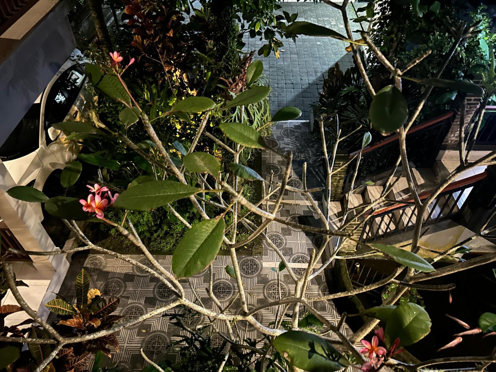 Balimas Guest House Ubud Exterior foto